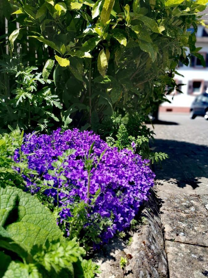 Ferienwohnung Lavanda Руст Екстер'єр фото